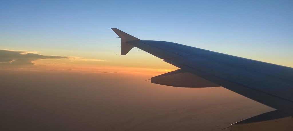 Living Abroad (And&nbsp;Pets)