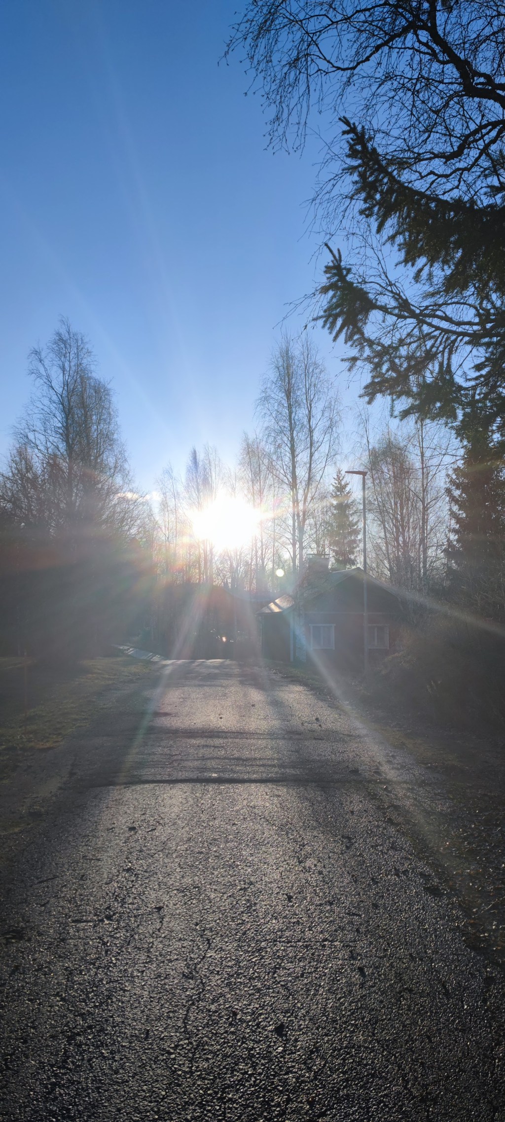 What Has Become Of&nbsp;Me?