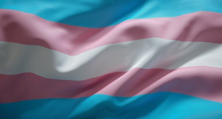 International Trans Day Of&nbsp;Visibility