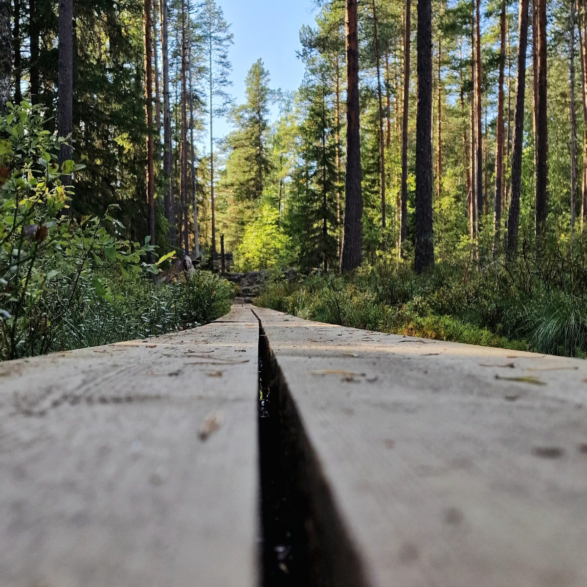 From the Mists of Avalon to the Gates of Al-Andalus – Threads of&nbsp;Destiny