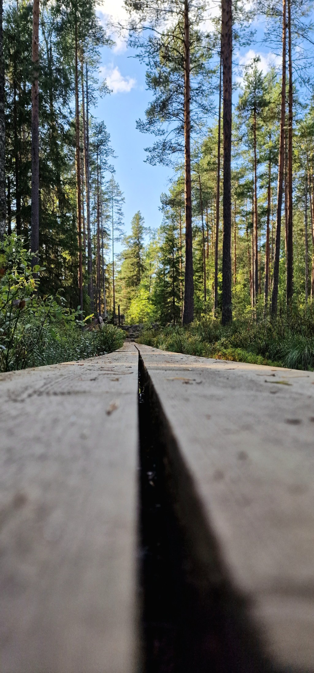 From the Mists of Avalon to the Gates of Al-Andalus – Threads of&nbsp;Destiny