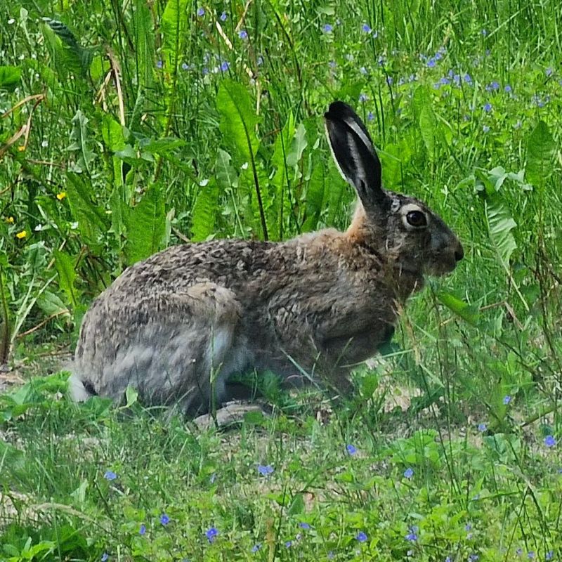 Sustainability, Everyday